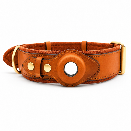 Leather Dog Collar with AirTag Holder