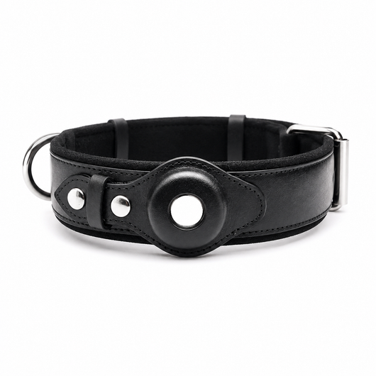 Leather Dog Collar with AirTag Holder