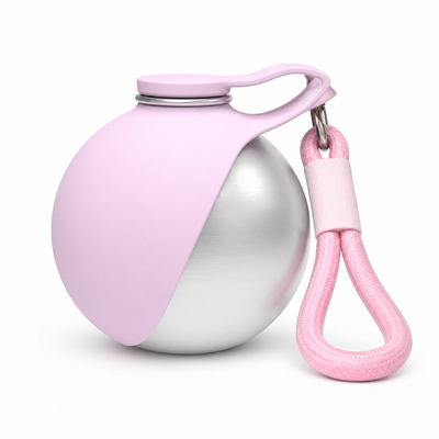 Stainless Steel Dog Water Bottle with Bowl