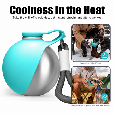 Stainless Steel Dog Water Bottle with Bowl