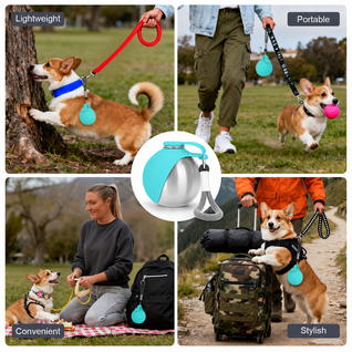 Stainless Steel Dog Water Bottle with Bowl