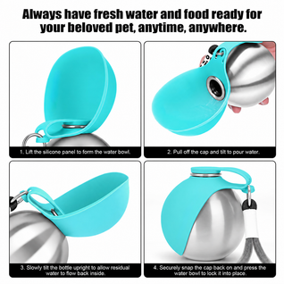 Stainless Steel Dog Water Bottle with Bowl