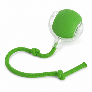 Smart Rolling Pet Ball