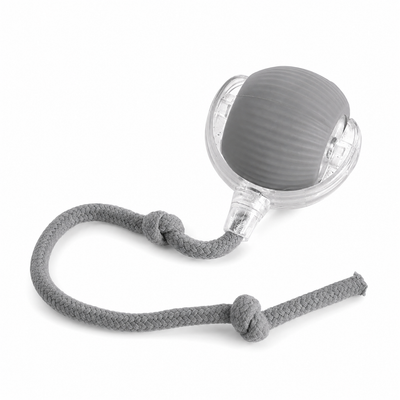 Smart Rolling Pet Ball