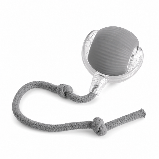 Smart Rolling Pet Ball
