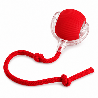 Smart Rolling Pet Ball