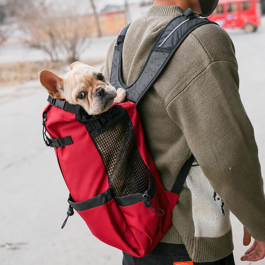 Dog Carrier Backpack