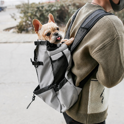 Dog Carrier Backpack