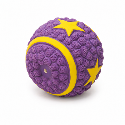 Squeaky Latex Dog Chew Ball Toy