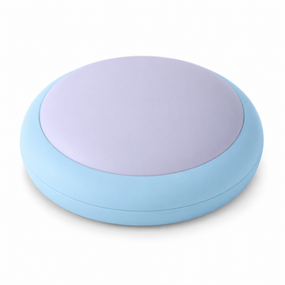 Recordable Pet Communication Button