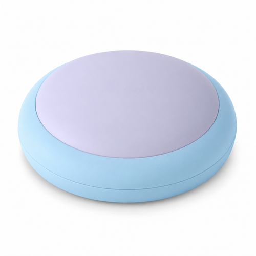 Recordable Pet Communication Button
