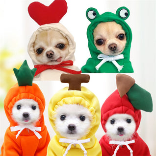 Fruit Dog Hoodie