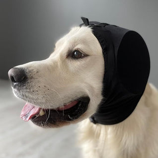 Dog Ear Muffs for Noise