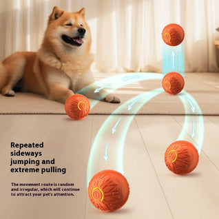 Smart Rolling LED Pet Ball