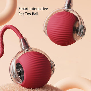 Smart Rolling Pet Ball
